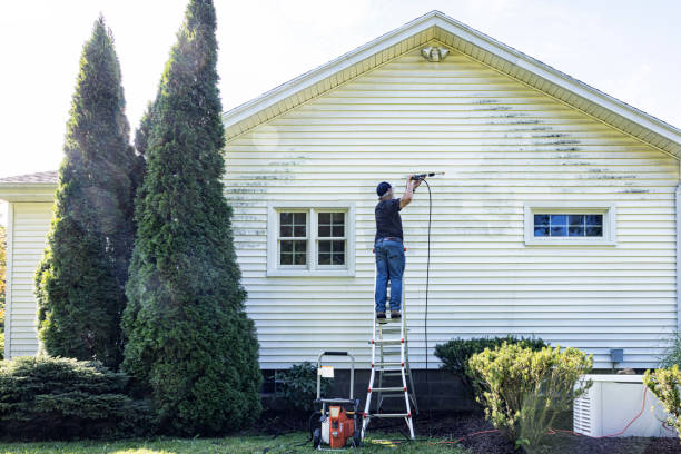 Reliable Fort Polk South, LA Pressure Washing Services Solutions